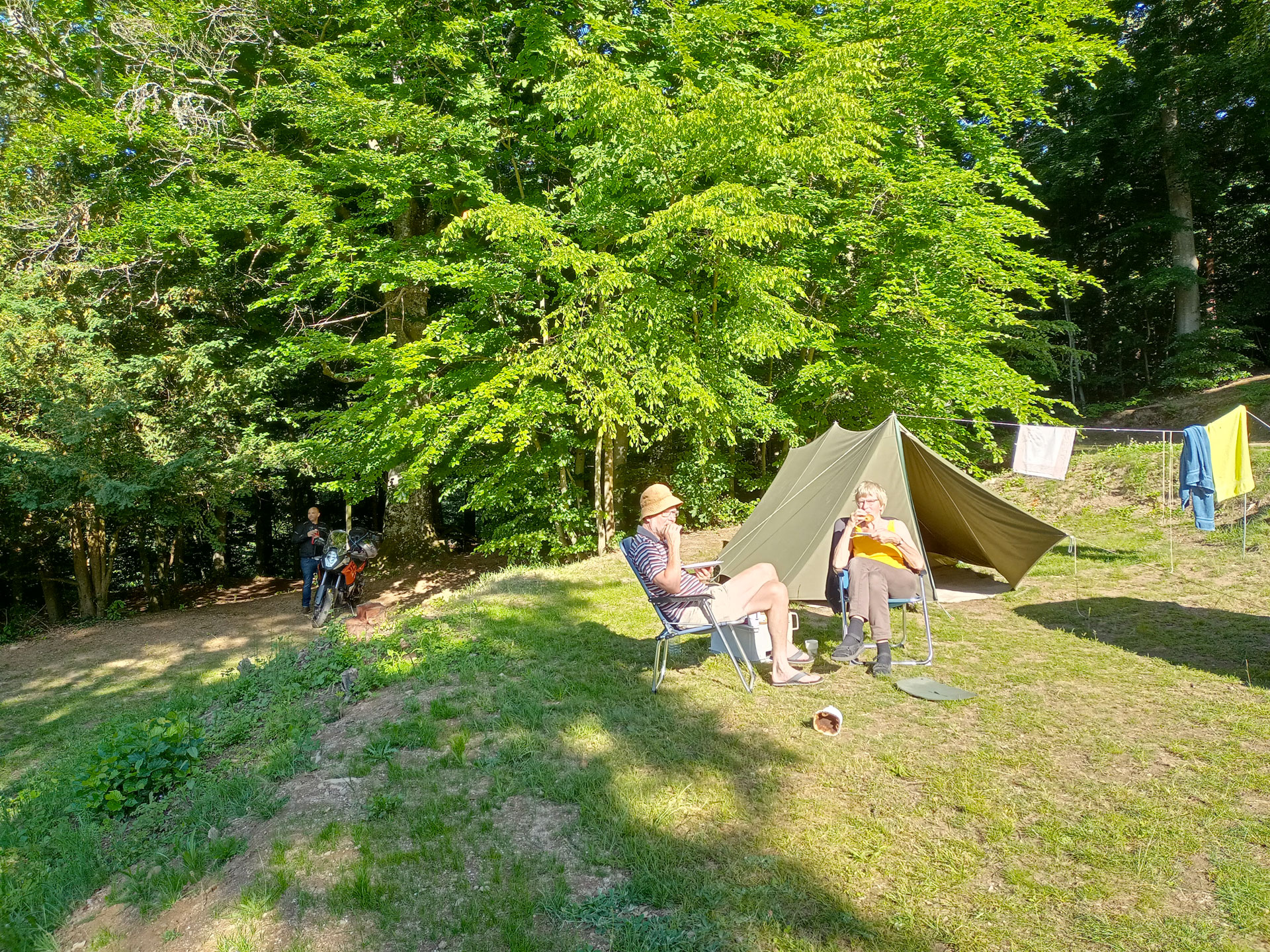 le camping Lefébure avec ses emplacements en sous-bois