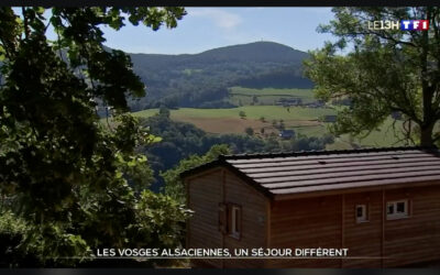 Les Vosges alsaciennes : un séjour différent – reportage du 13H de TF1