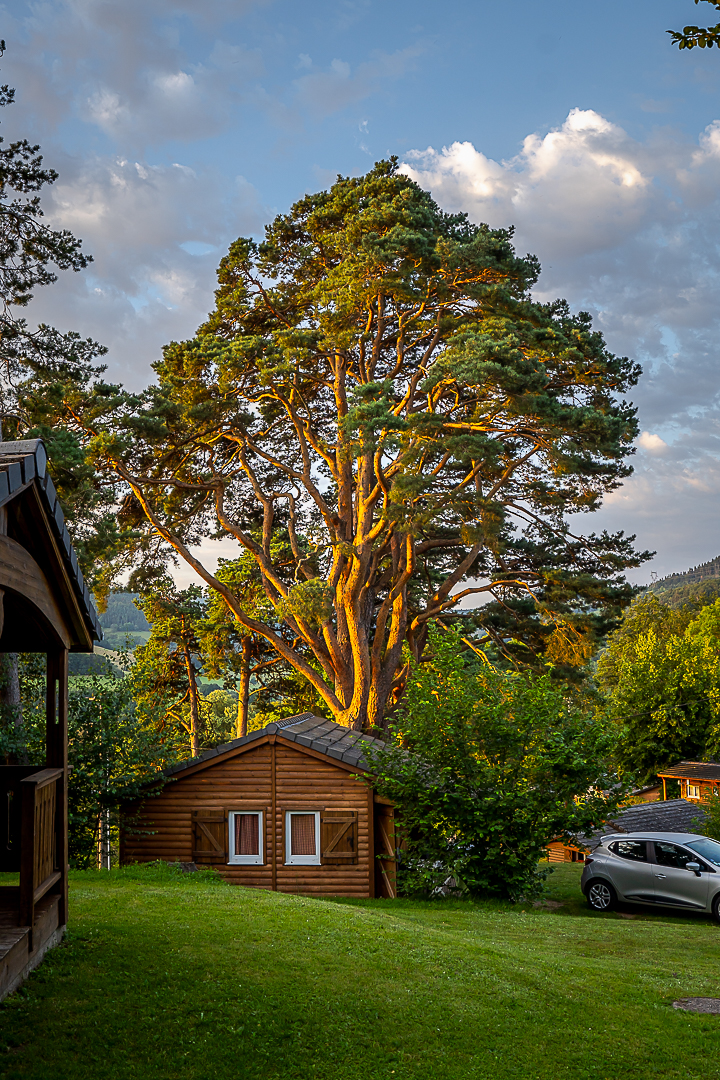 Les chalets du camping Lefébure à Orbey